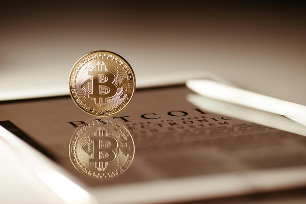 Bitcoin and Litecoin wallet addresses compared side by side
